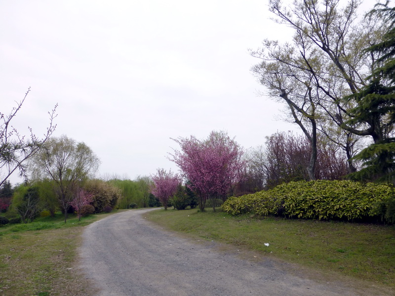p1050174.jpg