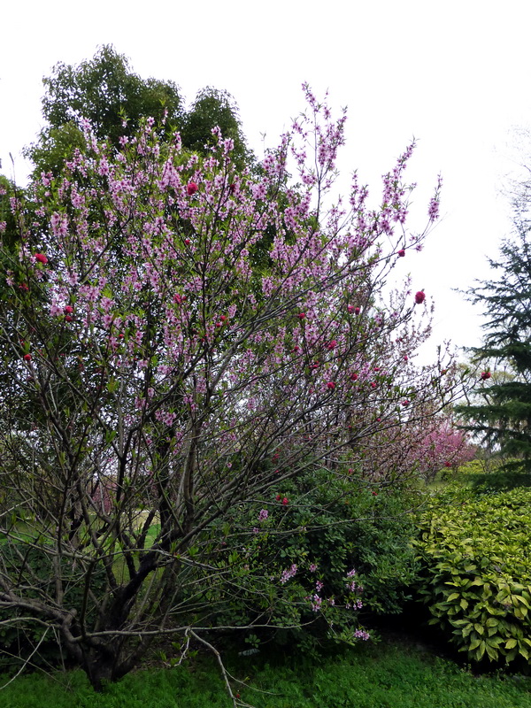 p1050175.jpg
