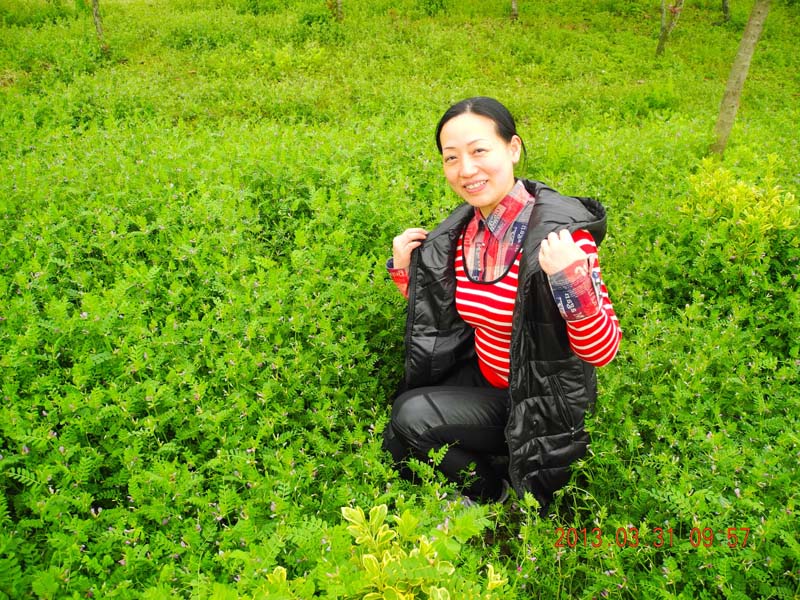 dscn5766.jpg