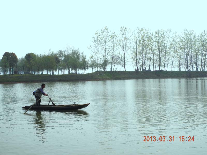 dscn5902.jpg