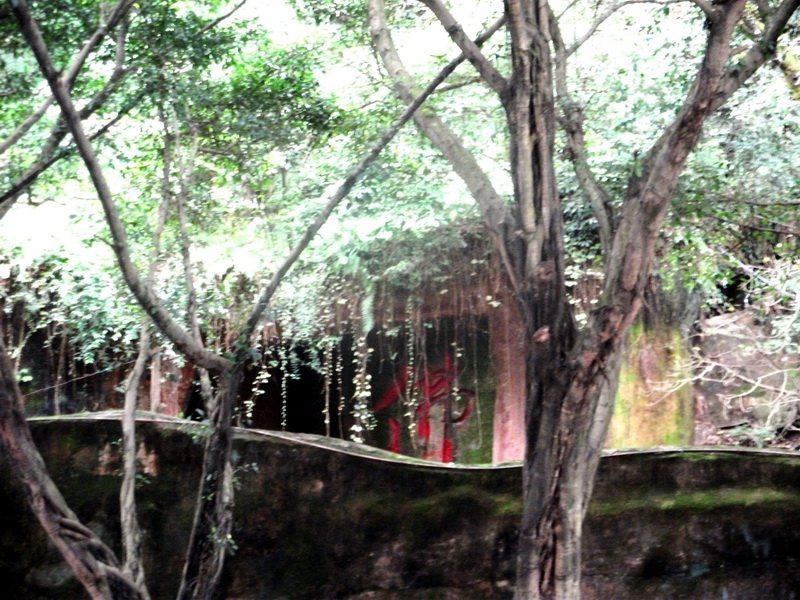 dscf0169.jpg