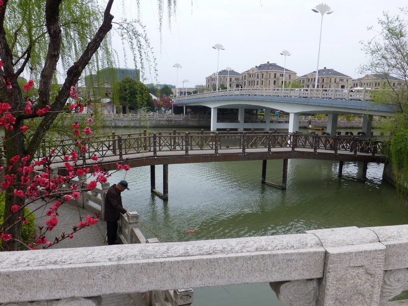 p1050137.jpg