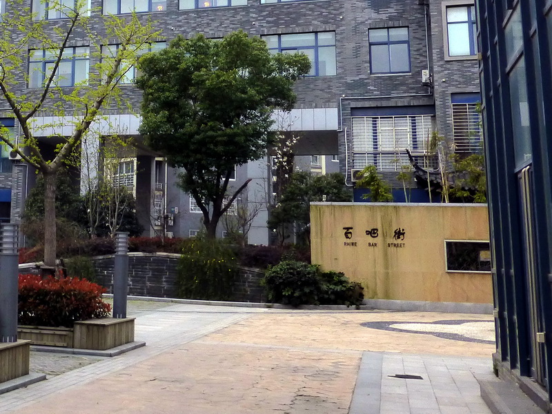 p1050138.jpg