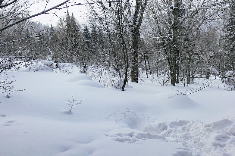 p1250300.jpg