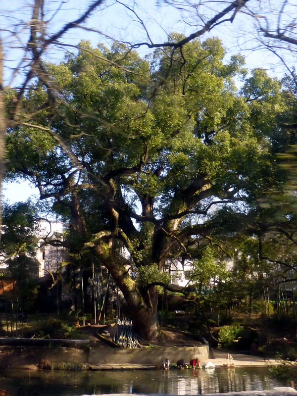 p1030276.jpg