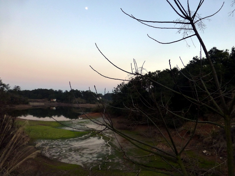 p1030328.jpg