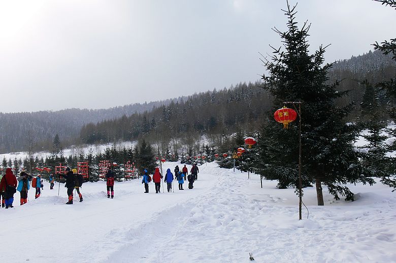 p1250390.jpg