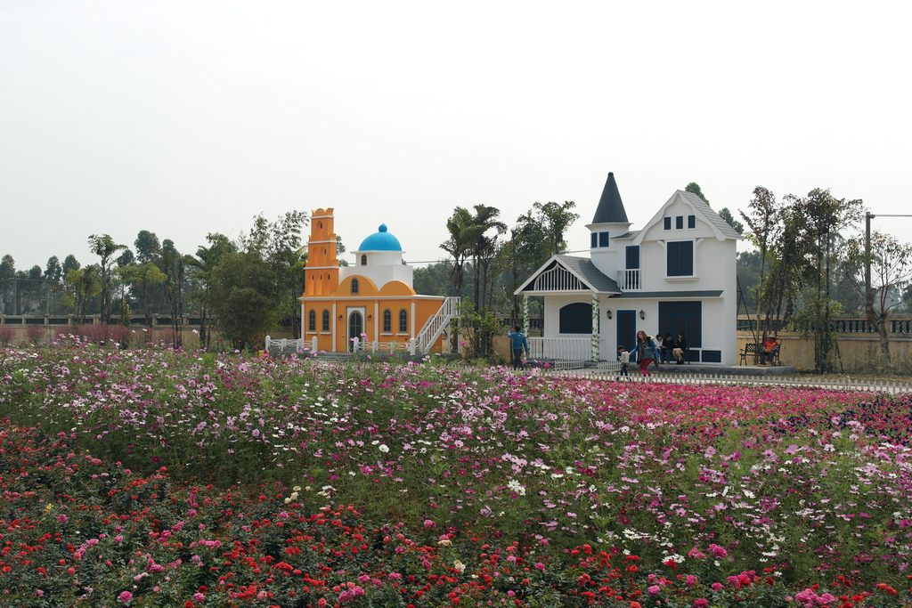 sam_0851.jpg