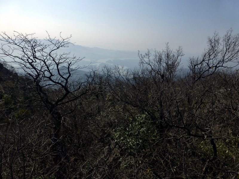p1030417.jpg