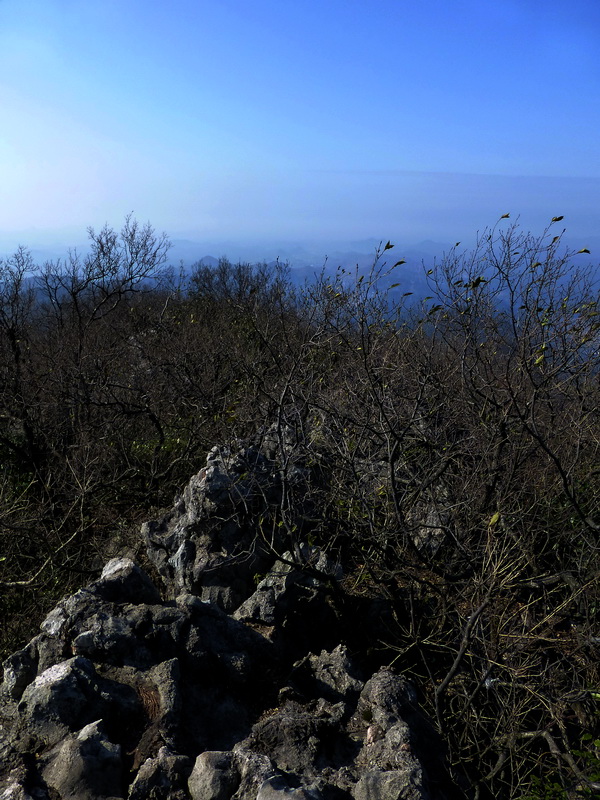 p1030420.jpg