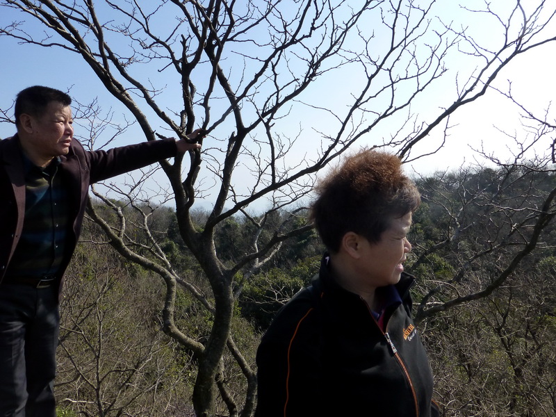 p1030427.jpg