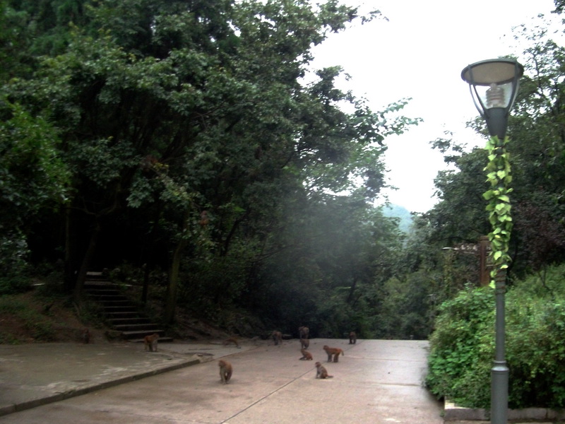 dscf0111.jpg