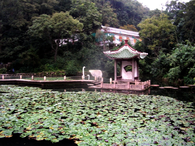 dscf0115.jpg