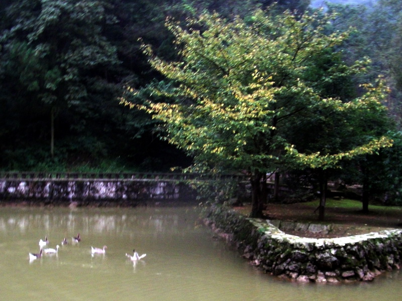 dscf0118.jpg