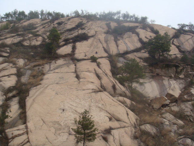 dsc02176.jpg