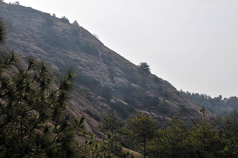 dsc_9599_.jpg