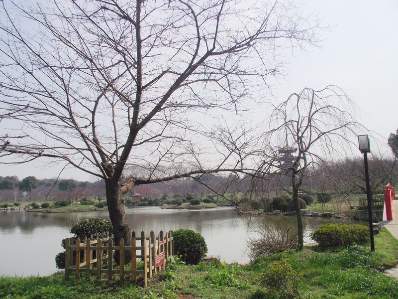 dscf8176.jpg
