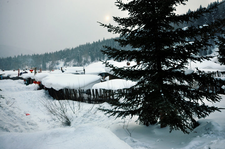 dsc_8623.jpg
