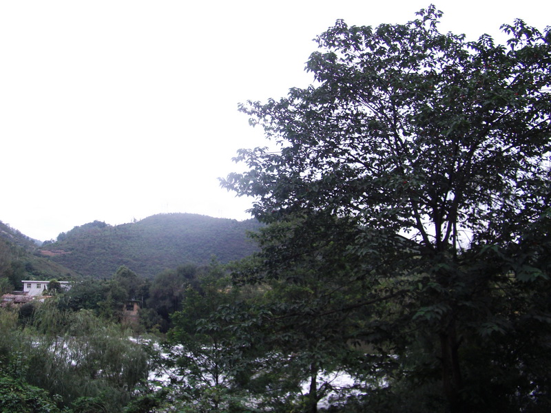 dscf0191.jpg
