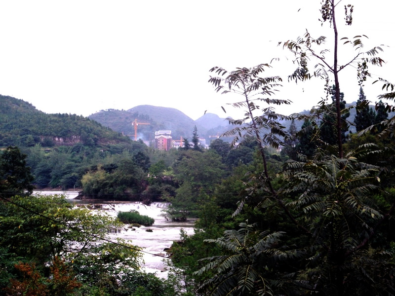 dscf0195.jpg