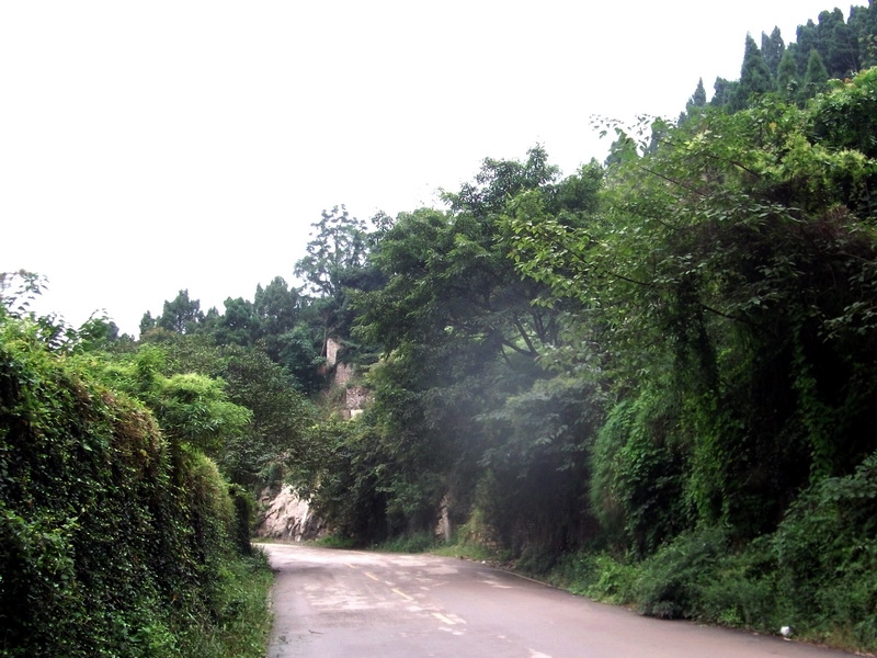 dscf0199.jpg