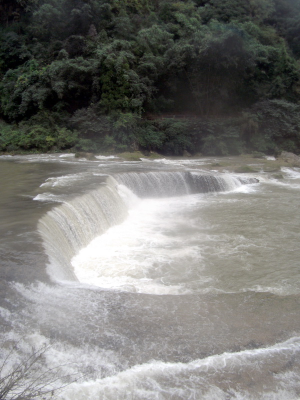 dscf0229.jpg