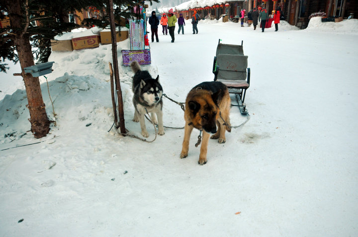 dsc_8625.jpg