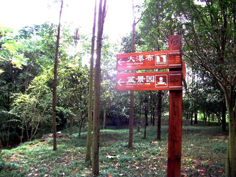 dscf0201.jpg