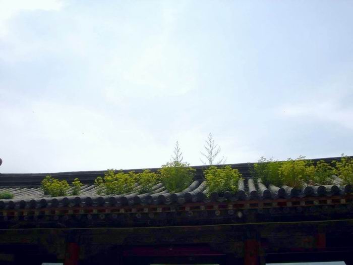 ͼƬ1a.jpg