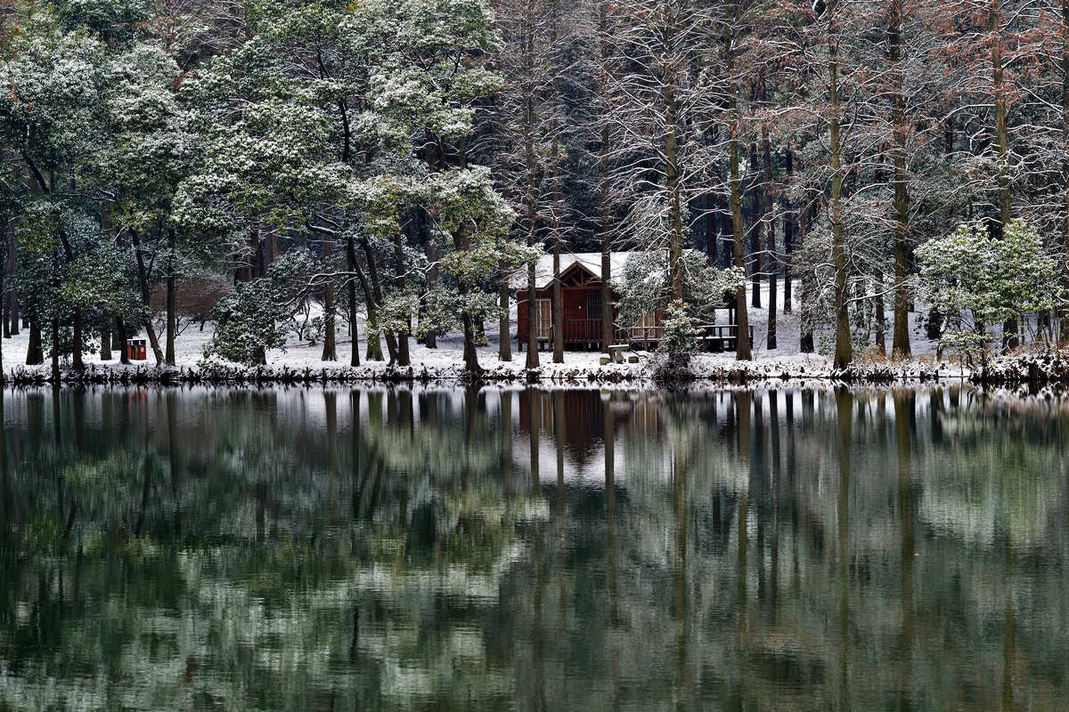 dsc_2120.jpg
