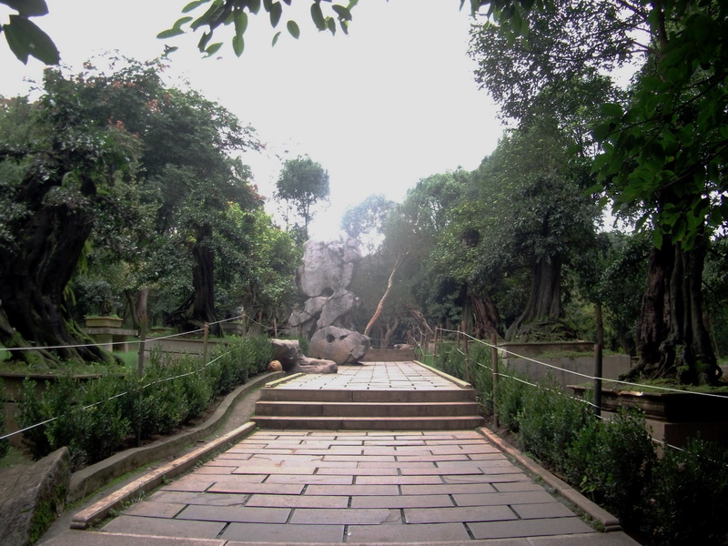 dscf0202.jpg