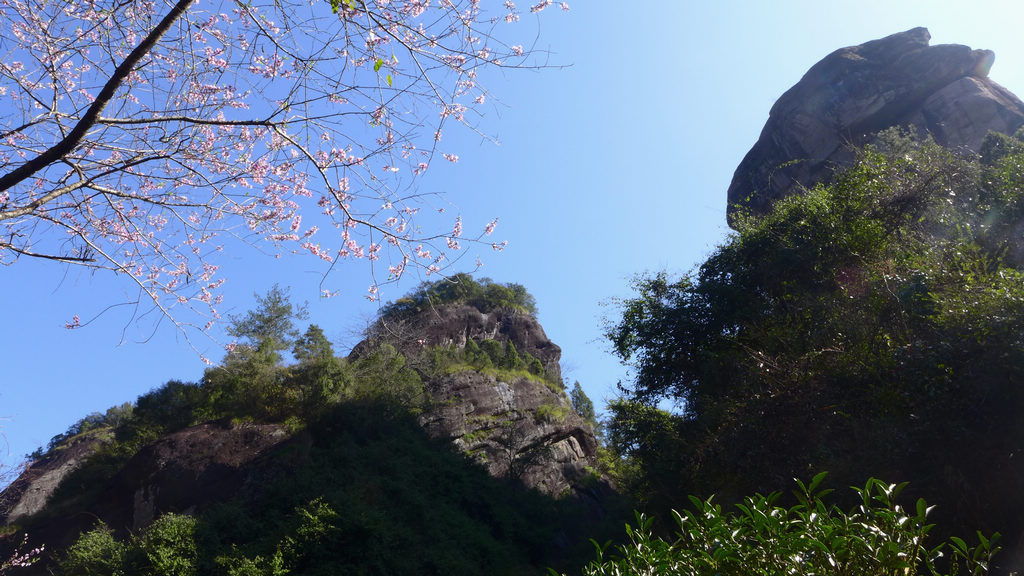 p1060591.jpg