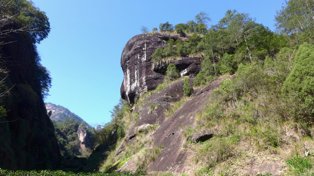 p1060593.jpg