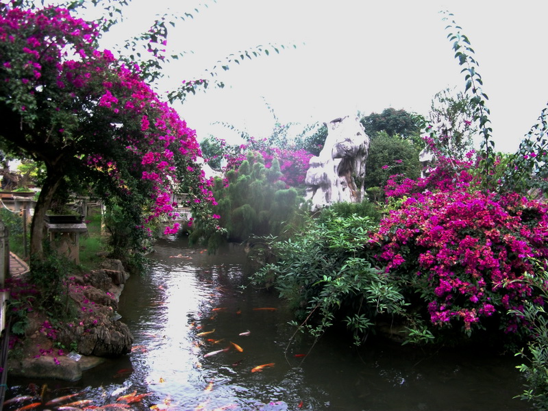 dscf0203.jpg