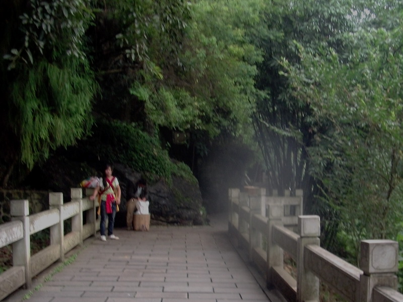 dscf0205.jpg