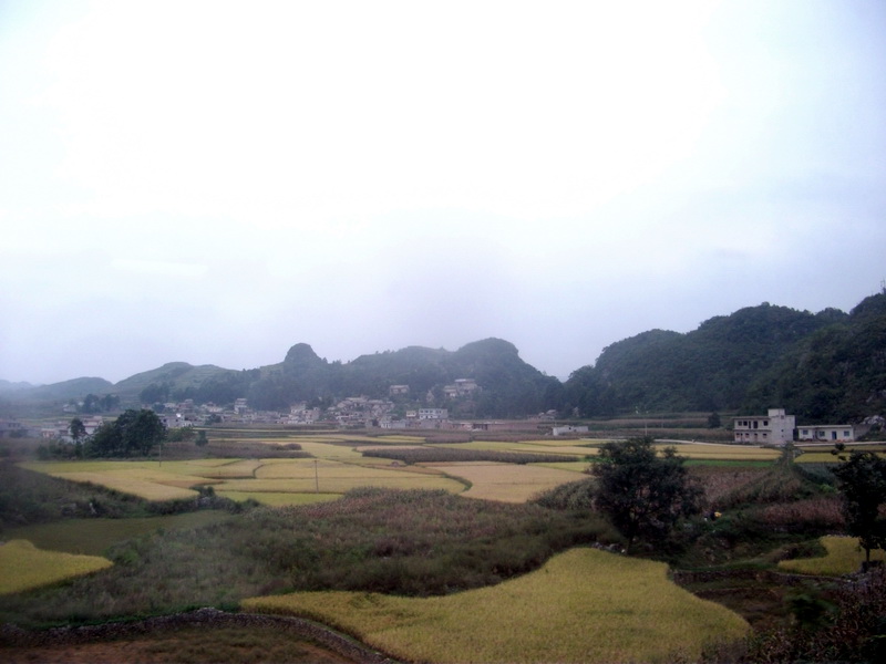 dscf0306.jpg