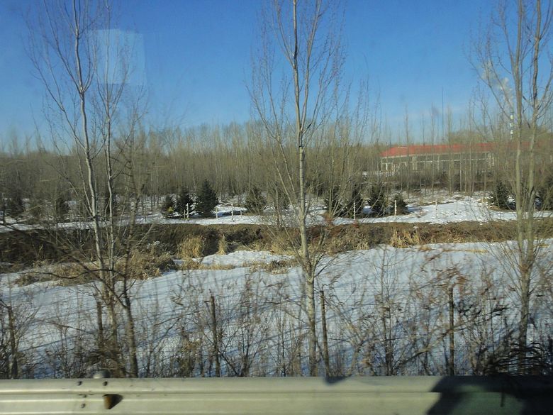 dsc09433.jpg