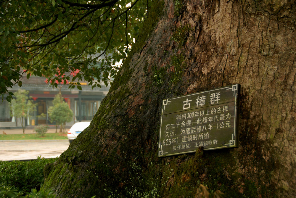 dsc_0006.jpg