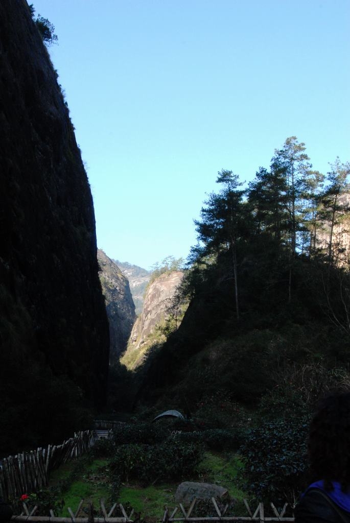 dsc_0059.jpg
