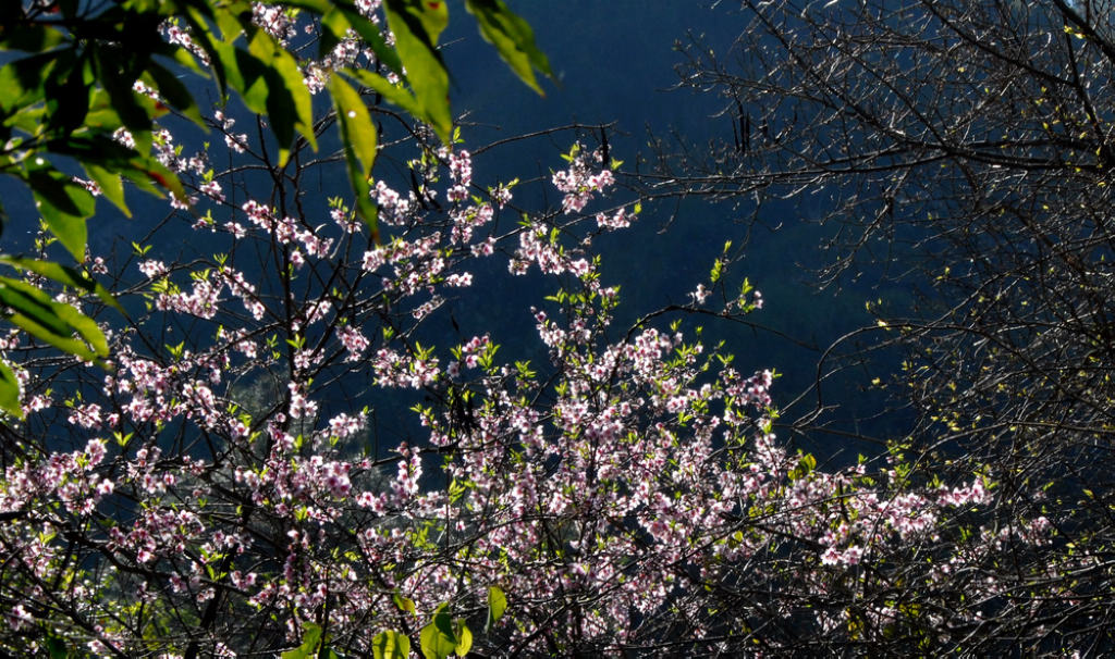 dsc_0063.jpg