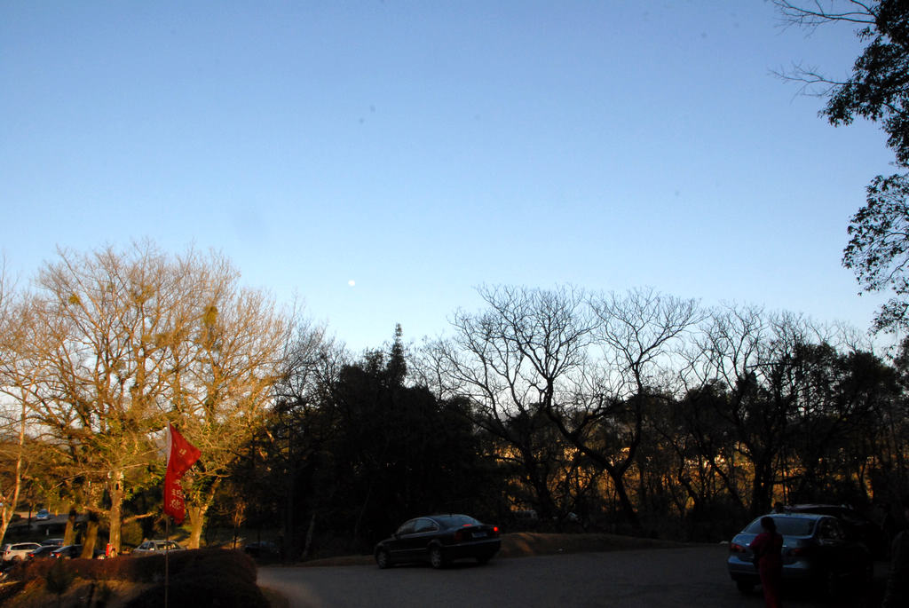 dsc_0115.jpg