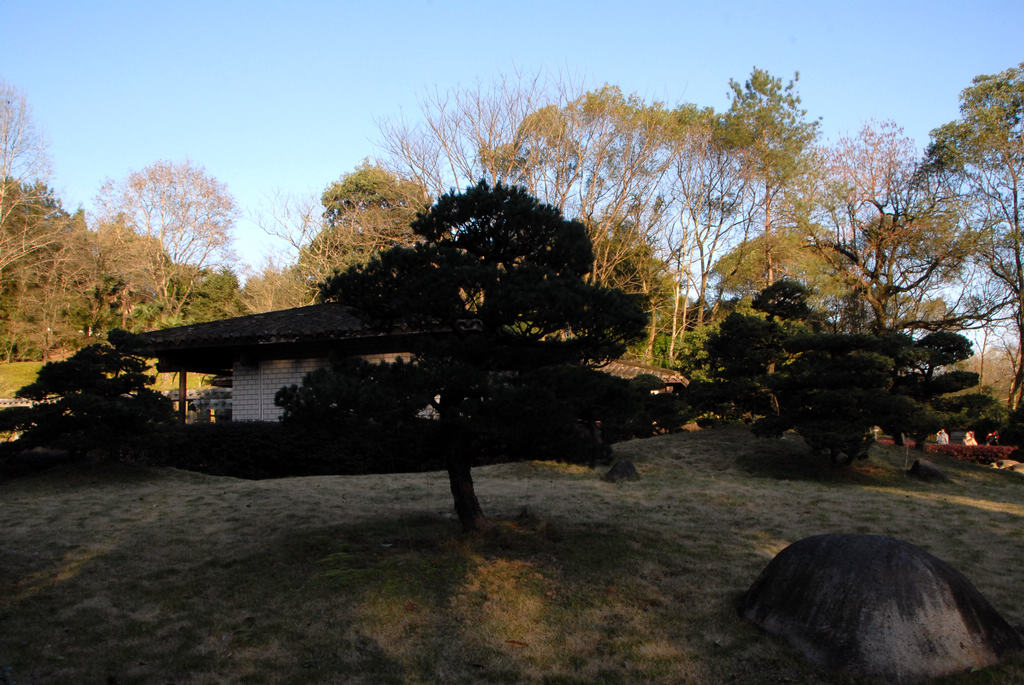 dsc_0113.jpg