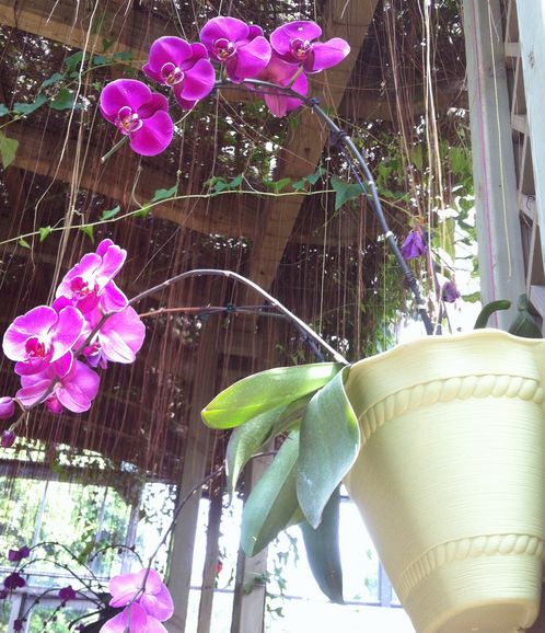 Ƭ 027.jpg