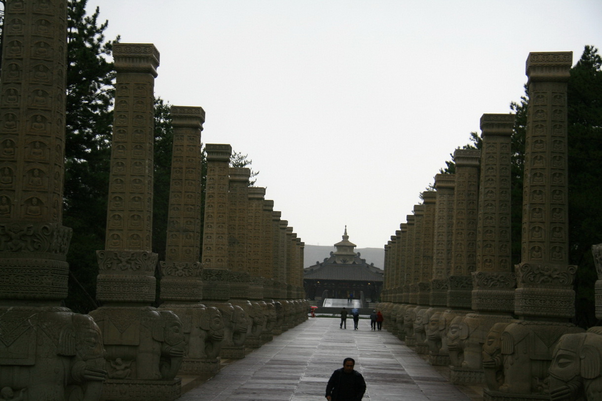 185.jpg