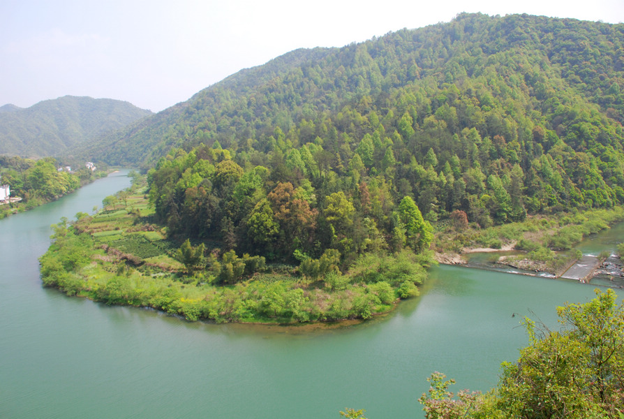 dsc_0498.jpg