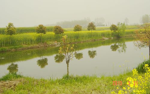 dsc00321.jpg