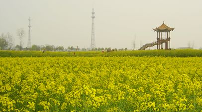 dsc00304.jpg