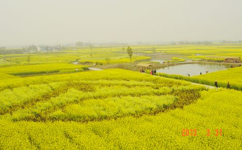 dsc00307.jpg