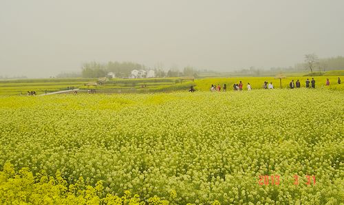 dsc00305.jpg