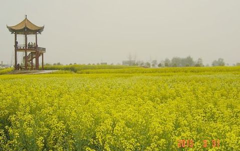 dsc00301.jpg